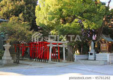 Shinagawa Shrine 45781262