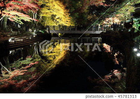 秋葉夜場面1 45781313