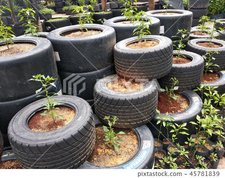 Plant planter box is made from race car tire Plant planter box is made from race car tire 45781839
