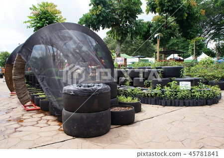 Plant planter box is made from race car tire Plant planter box is made from race car tire 45781841