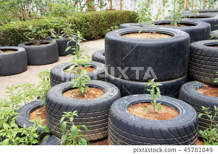 Plant planter box is made from race car tire Plant planter box is made from race car tire 45781849