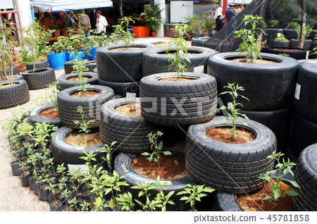 Plant planter box is made from race car tire Plant planter box is made from race car tire 45781858