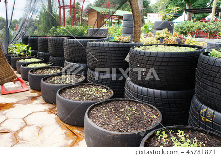 Plant planter box is made from race car tire  45781871