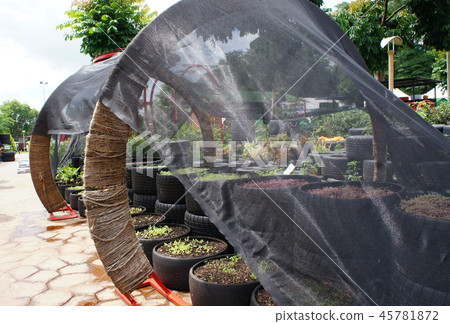 Plant planter box is made from race car tire Plant planter box is made from race car tire 45781872