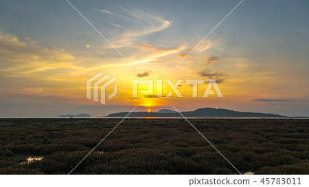 scenery sunrise above coral forest in Rawai sea  45783011