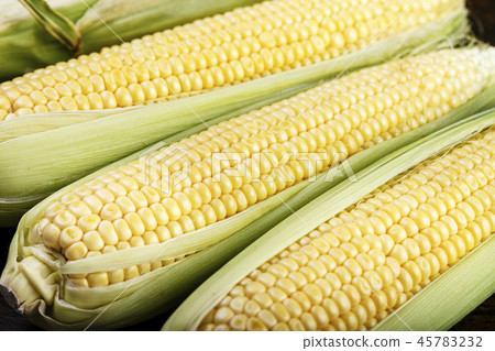 raw sweet corn close up raw sweet corn close up 45783232