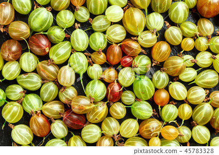 ripe gooseberry as background 45783328