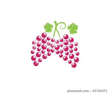 grape purple and green vector illustration grape purple and green vector illustration 45783471