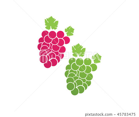 grape purple and green vector illustration 45783475