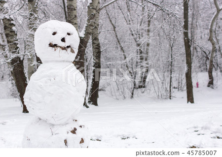 Family winter fun in the forest Family winter fun in the forest 45785007