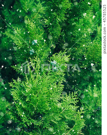 Green fir tree winter christmas background 45785525