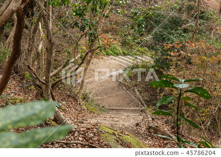 兵庫縣。六甲山徑。 兵庫縣。六甲山徑。 45786204