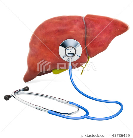 Human liver with stethoscope 45786439
