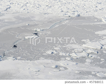 Frozen sea surface 45788011