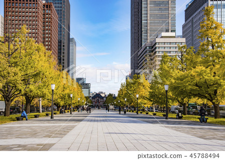 [Autumn leaves ginkgo Tokyo station] 45788494
