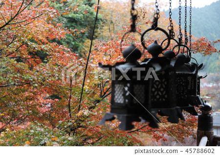 Fall leaves and hanging lights 45788602
