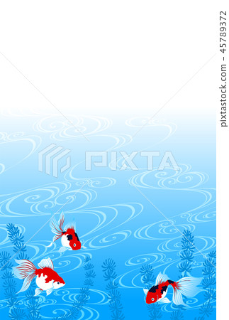 Goldfish   45789372