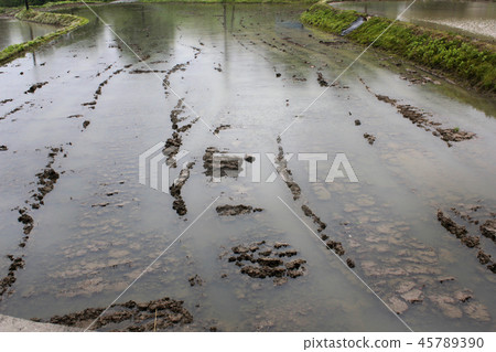 春天的農田 春天的農田 45789390