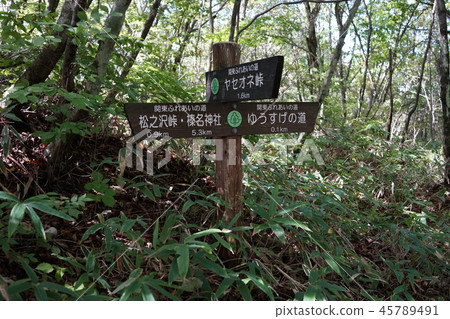 群馬縣榛名山榛名高原沼澤哈拉在尤蘇格的道路上的標誌 45789491