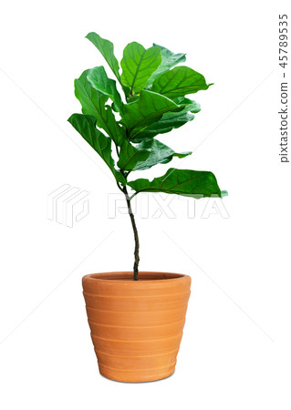 Empty unpainted clay pot isolated on white 45789535