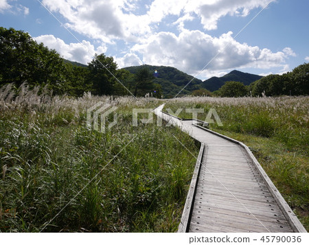 Gunma Prefecture Haruna Mountain Haruna Kogen Yusuge Road 45790036