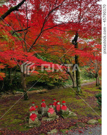 Autumn leaves Jizo Autumn leaves Jizo 45790170