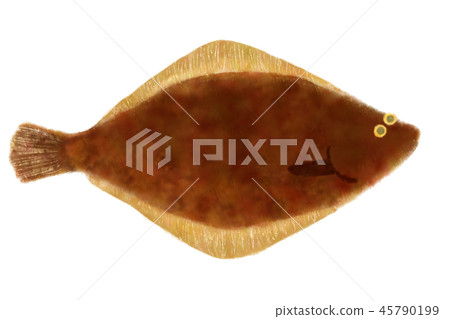 Etteka Rei Etteka Rei 45790199