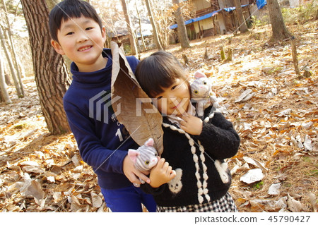 弟弟和妹妹經常在秋天的森林裡 弟弟和妹妹經常在秋天的森林裡 45790427