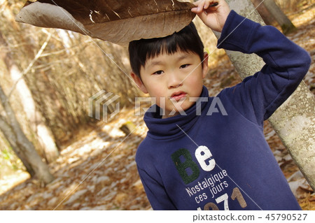 I found a big leaf in deep autumn I found a big leaf in deep autumn 45790527