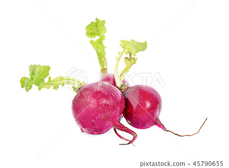 Small garden radish isolated on white background Small garden radish isolated on white background 45790655