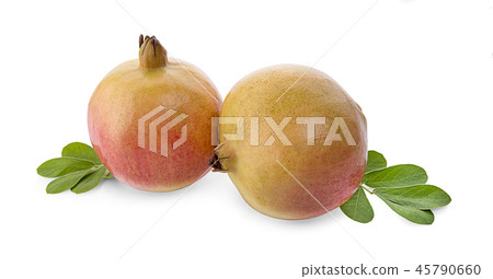 Pomegranate isolated on white background Pomegranate isolated on white background 45790660