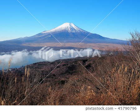 深秋的富士山在藍天中閃耀 深秋的富士山在藍天中閃耀 45790796