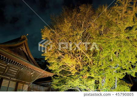 日本千葉 45790805