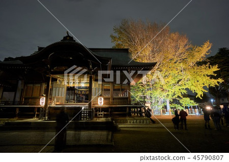 日本千葉 45790807