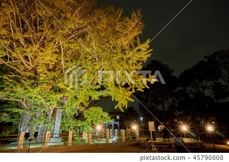 日本千葉 45790808