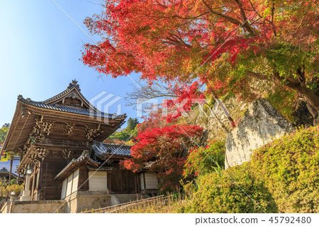 Hase-dera寺廟秋葉 45792480