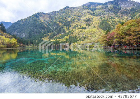 Jiuzhaigou 45795677