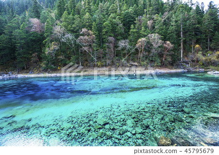 Jiuzhaigou 45795679
