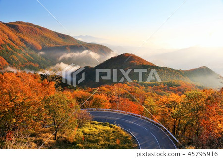 Tochigi autumn sunlight 45795916