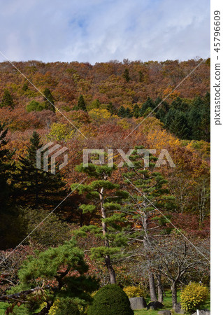 Late autumn park and autumnal mountains 45796609