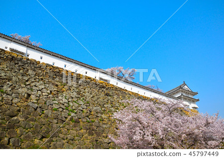 Sakuraba Himeji Castle Nishinomaru 45797449