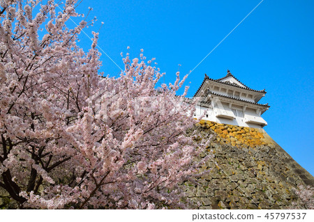 Sakuraba Himeji城堡Nishinomaru 45797537
