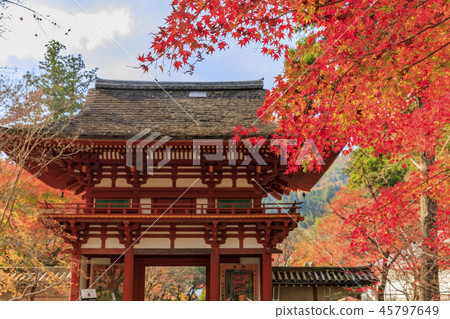 Muro-ji Temple 45797649