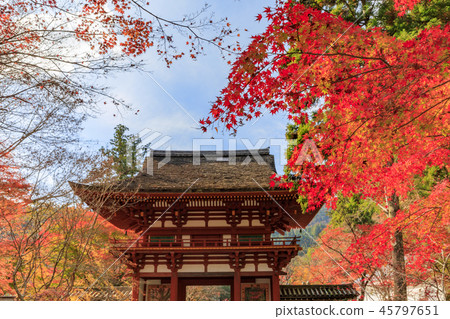 Muro-ji Temple Muro-ji Temple 45797651