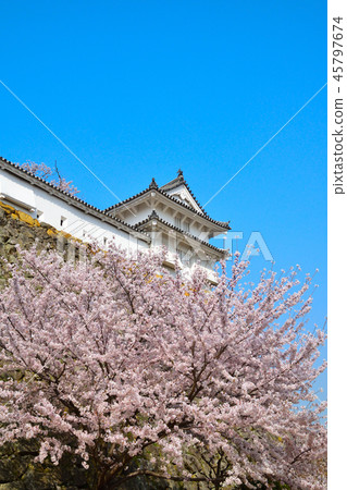 Sakuraba Himeji城堡Nishinomaru 45797674