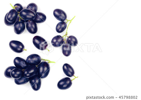 bue grapes isolated on the white background with copy space for your text. Top view. Flat lay bue grapes isolated on the white background with copy space for your text. Top view. Flat lay 45798802