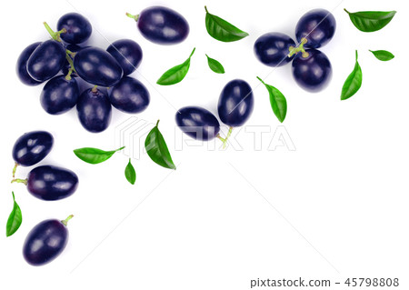 bue grapes isolated on the white background with copy space for your text. Top view. Flat lay bue grapes isolated on the white background with copy space for your text. Top view. Flat lay 45798808