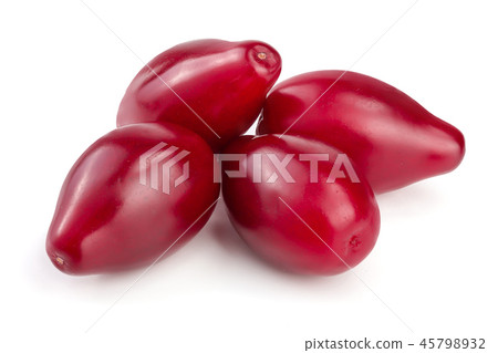 Red berries of cornel or dogwood isolated on white background Red berries of cornel or dogwood isolated on white background 45798932