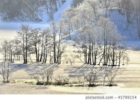 冬天湖Akimoto湖的早晨煥發 45799154