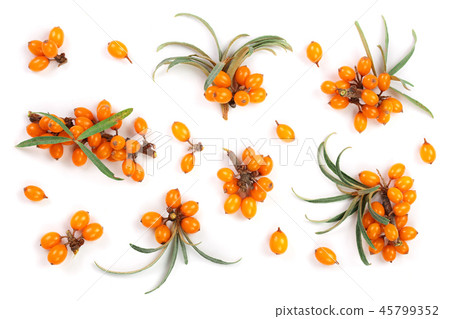 Sea buckthorn. Fresh ripe berry with leaves isolated on white background. Top view. Flat lay pattern Sea buckthorn. Fresh ripe berry with leaves isolated on white background. Top view. Flat lay pattern 45799352